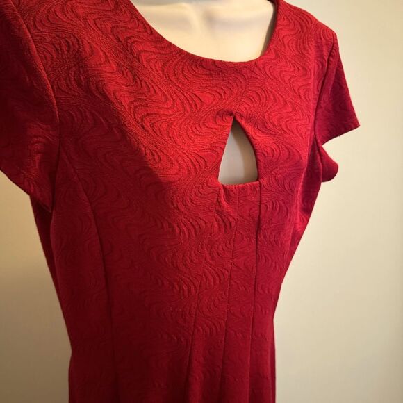 Danny and Nicole red dress size 10 - Picture 1 of 9